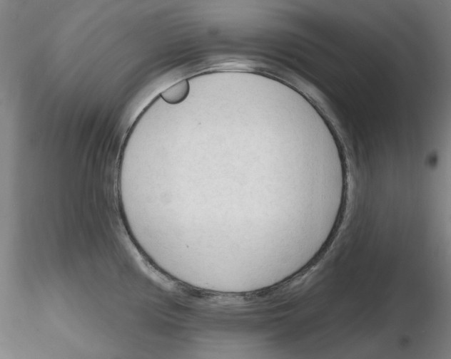 X0000116131194201001041005