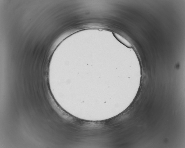 X0000116131195201001041005