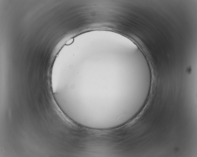 X0000116131196201001041005
