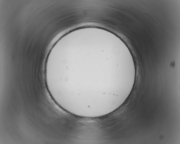 X0000116131199201001041005
