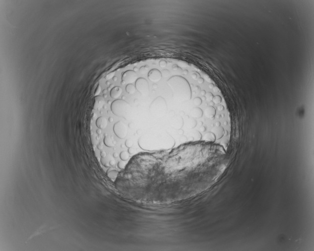 X0000116131201201001041004