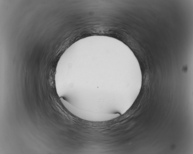 X0000116131202201001041004