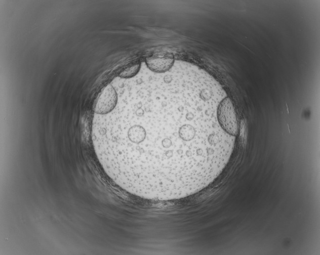 X0000116131203201001041004