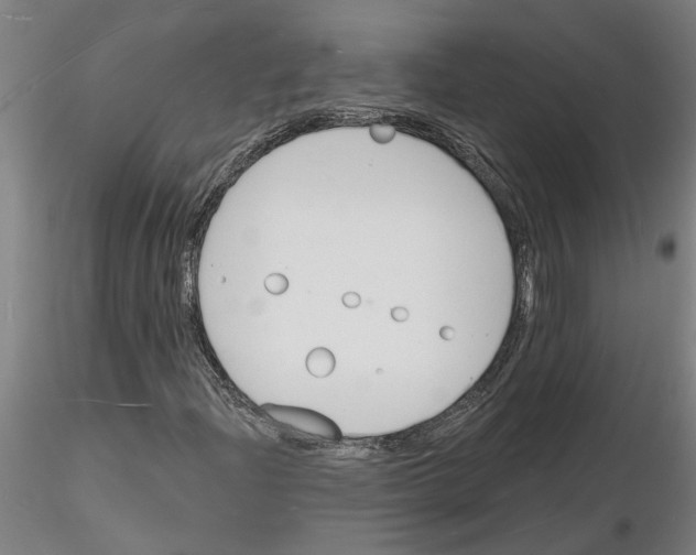 X0000116131204201001041004