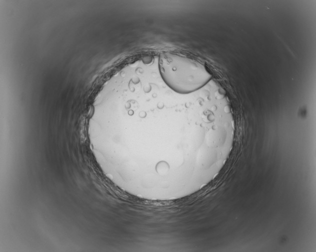X0000116131205201001041004