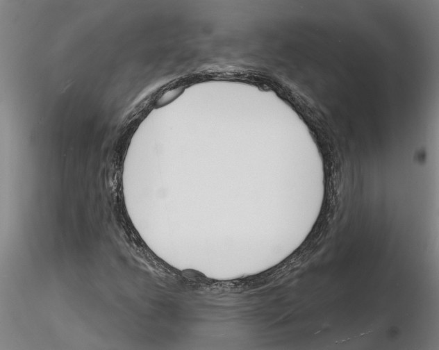 X0000116131206201001041004