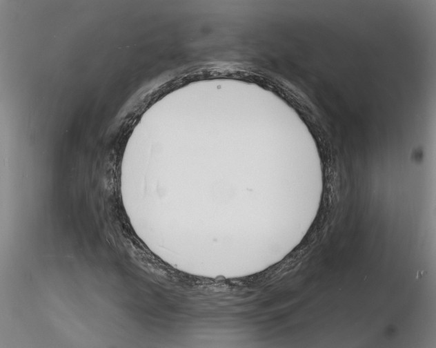 X0000116131207201001041004