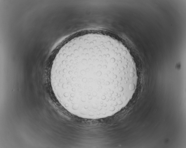 X0000116131208201001041004