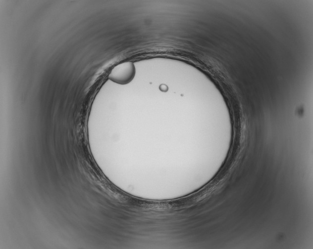 X0000116131210201001041004