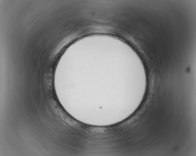 X0000116131211201001041004