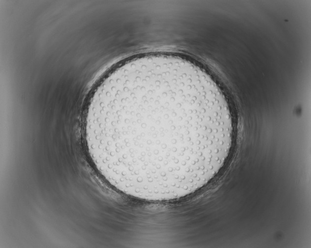 X0000116131212201001041004