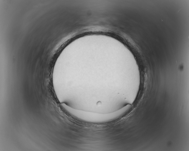 X0000116131213201001041004