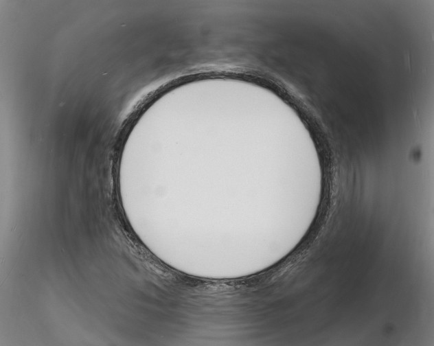 X0000116131214201001041004