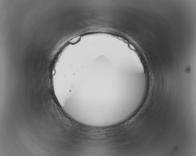 X0000116131215201001041004