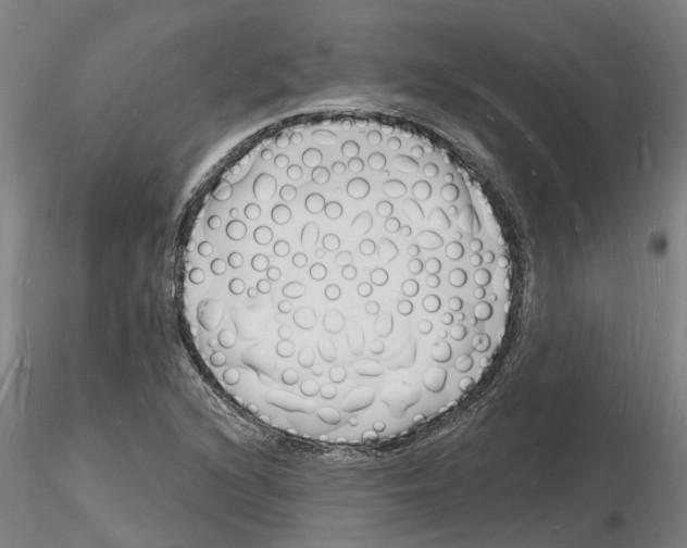 X0000116131216201001041004