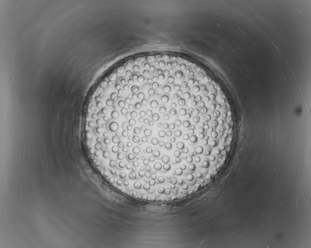 X0000116131220201001041004