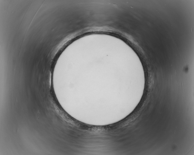 X0000116131221201001041004