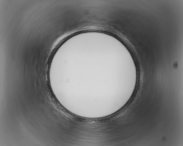 X0000116131222201001041004