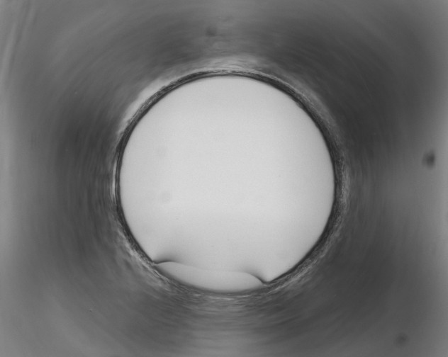 X0000116131224201001041004