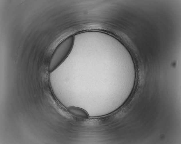 X0000116131225201001041004