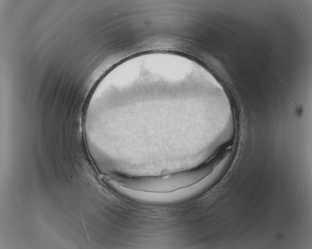 X0000116131226201001041004