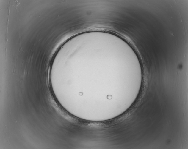 X0000116131227201001041004