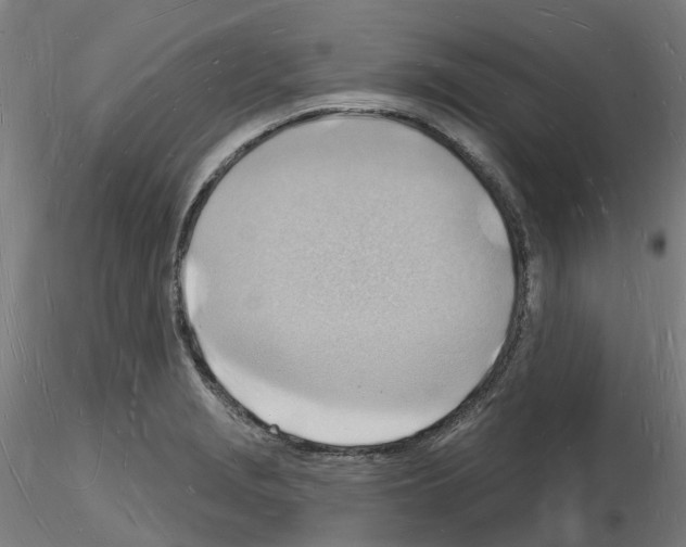 X0000116131229201001041004