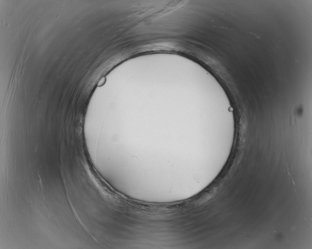X0000116131233201001041005