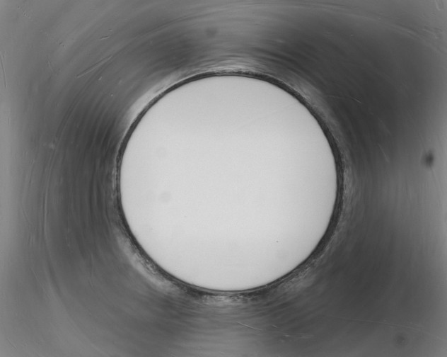 X0000116131234201001041005