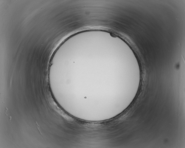 X0000116131236201001041005