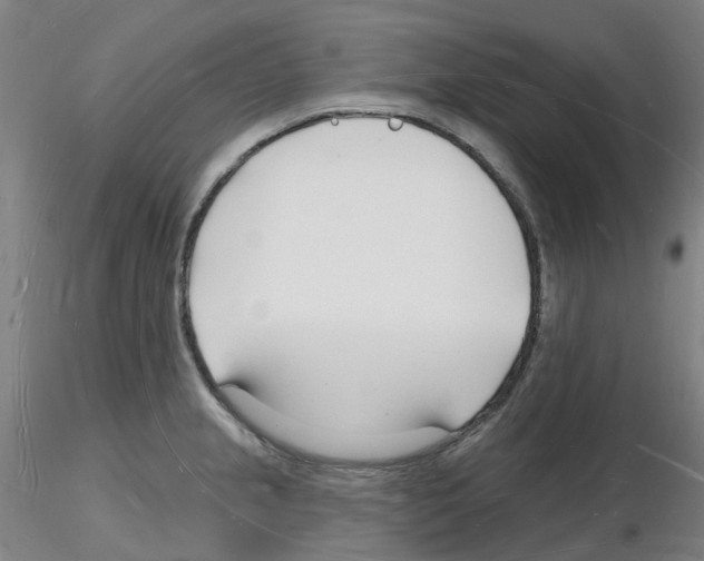X0000116131237201001041005