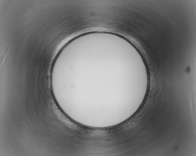 X0000116131238201001041005