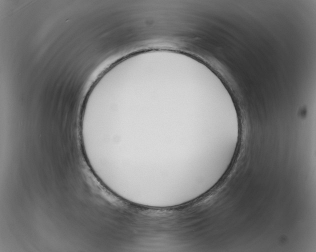 X0000116131240201001041005