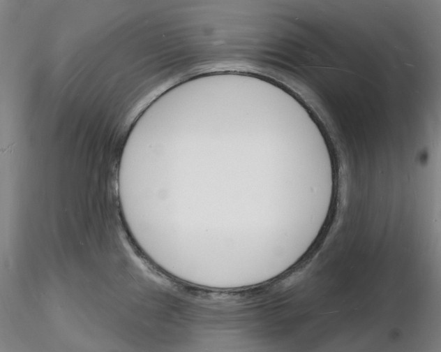 X0000116131241201001041005
