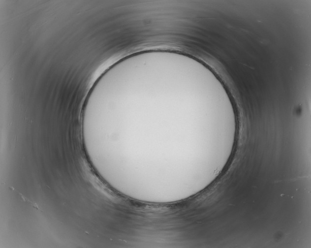 X0000116131242201001041005