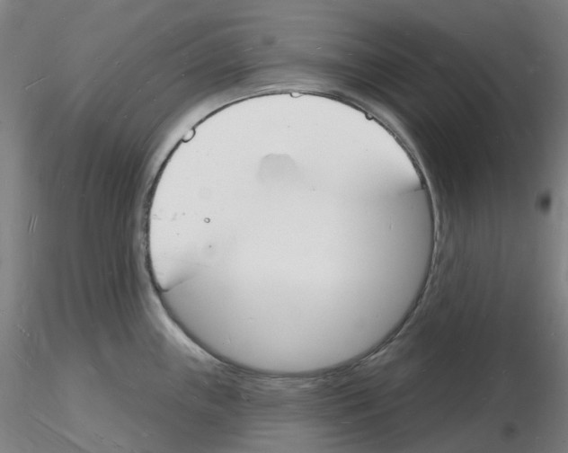 X0000116131243201001041005