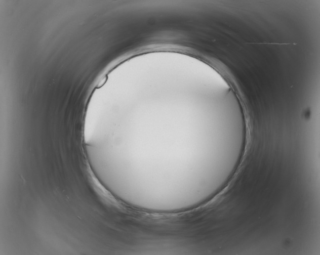 X0000116131244201001041005