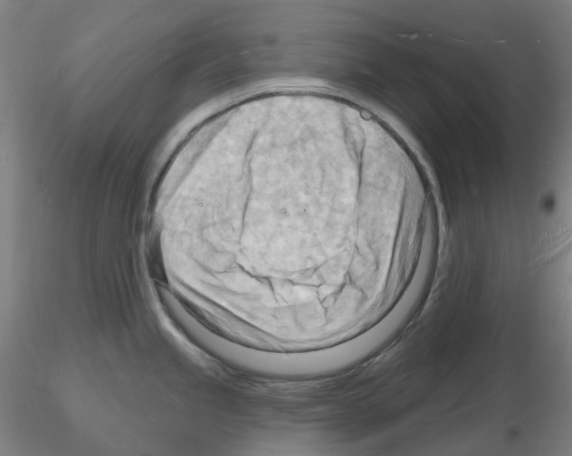 X0000116131245201001041005