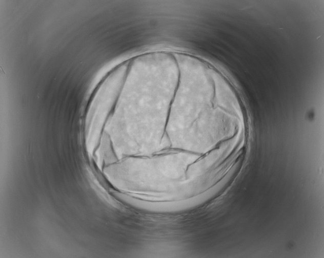 X0000116131246201001041005