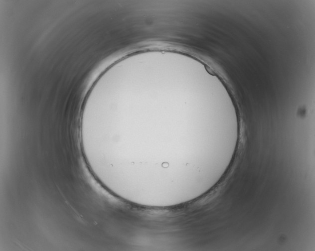 X0000116131247201001041005