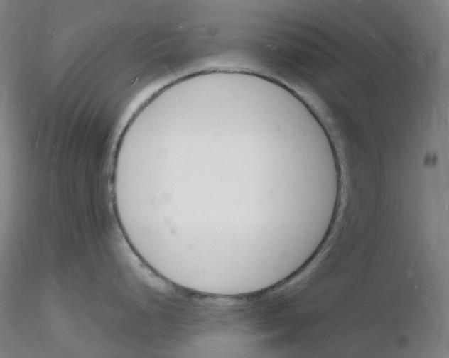 X0000116131248201001041005