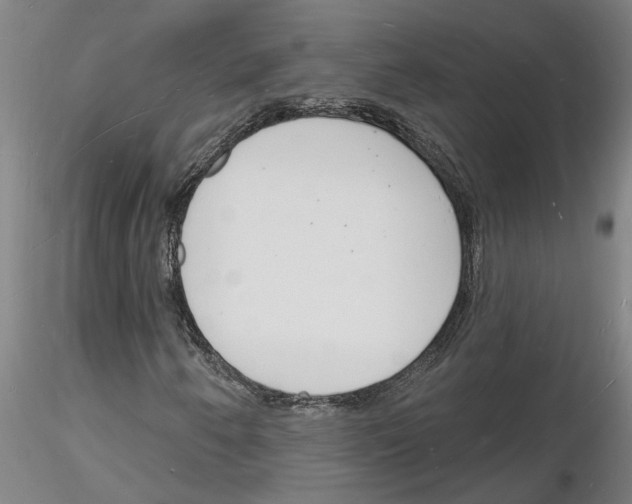 X0000116131250201001041004