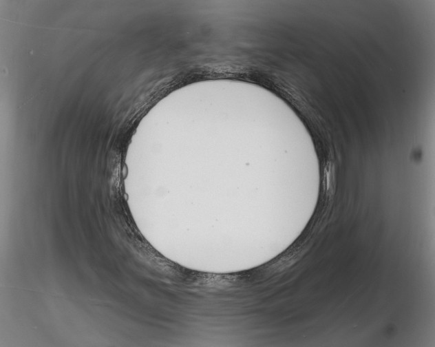 X0000116131251201001041004