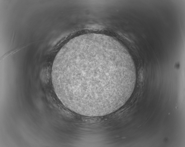 X0000116131254201001041004