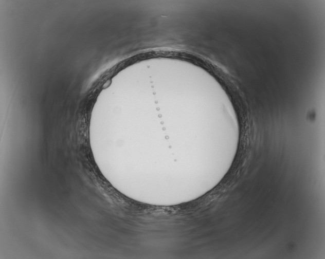 X0000116131255201001041004