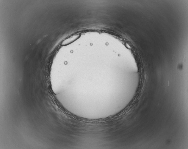 X0000116131256201001041004