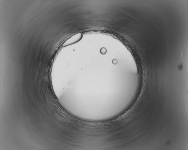 X0000116131257201001041004