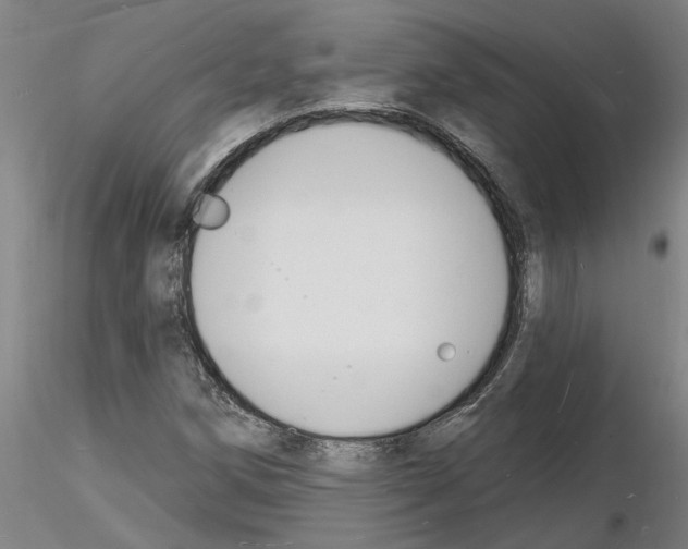 X0000116131258201001041004