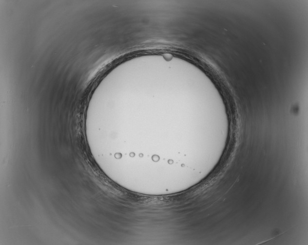X0000116131259201001041004