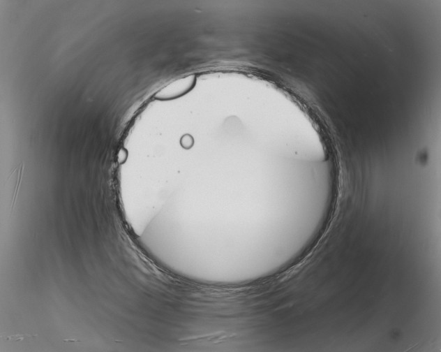X0000116131260201001041004